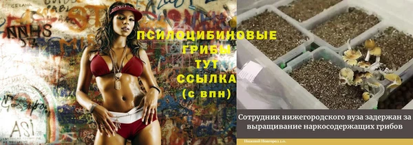 COCAINE Медвежьегорск