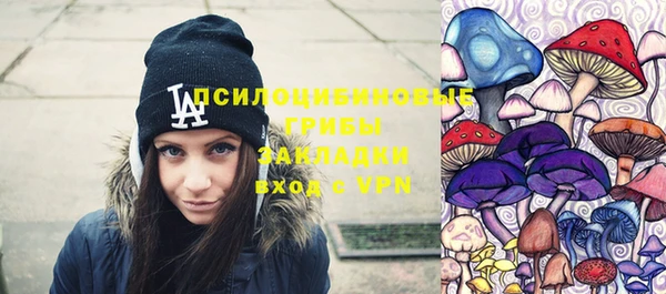 ГАЛЛЮЦИНОГЕННЫЕ ГРИБЫ Надым