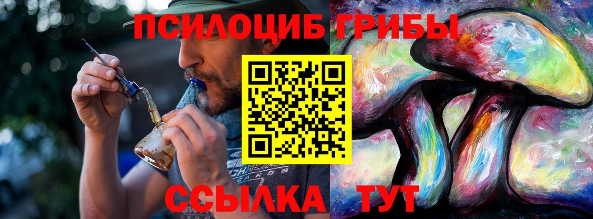 Иркутск  Галлюциногенные грибы Magic Shrooms  цена   Вход с VPN  Псилоцибиновые грибы Psilocybe 